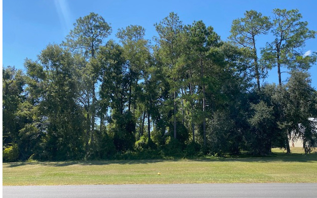 Airpark lot @ Cannon Creek